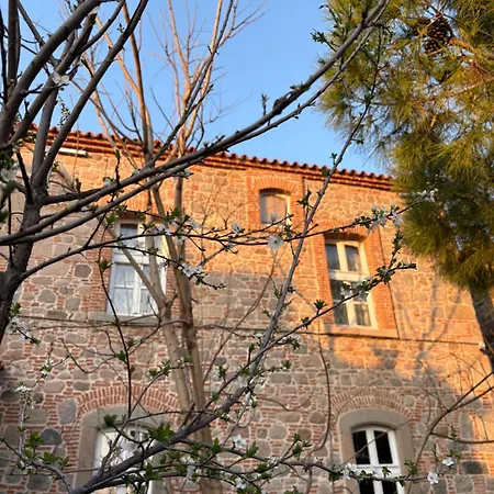 Hotel Yasa's